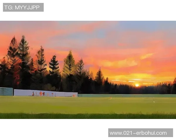 恋人头足球的激情与默契在绿茵场上交织的浪漫故事